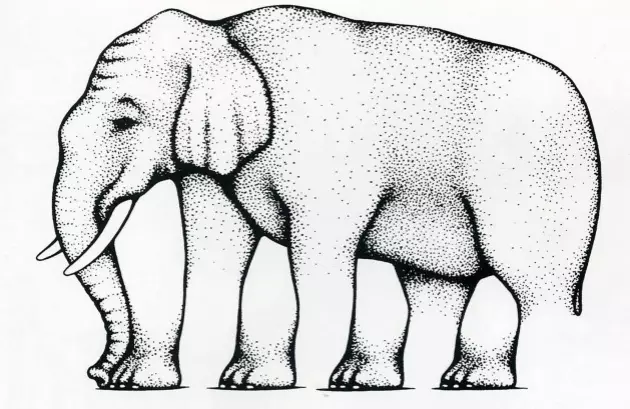 Elefant.