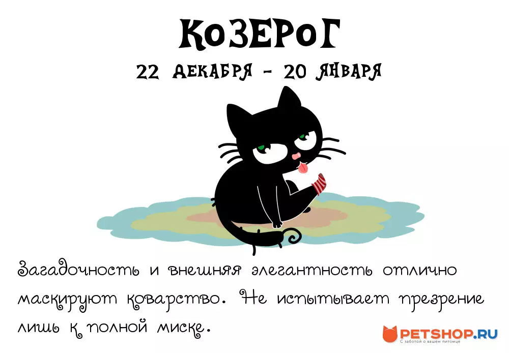 коозе.