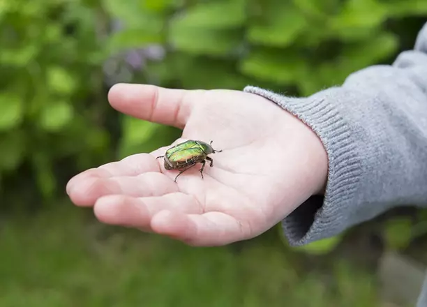 11 voorschriften van het pionier verleden, dat we kinderen moeten vertellen 39583_10