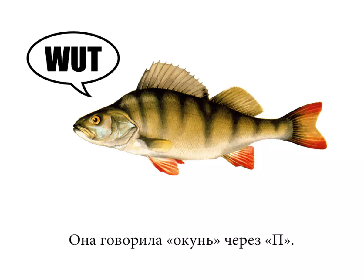 Рыба ответ. Туловища окуня. Части тела рыбы окунь. Окуни разговаривают. Хвост окуня как сказать.