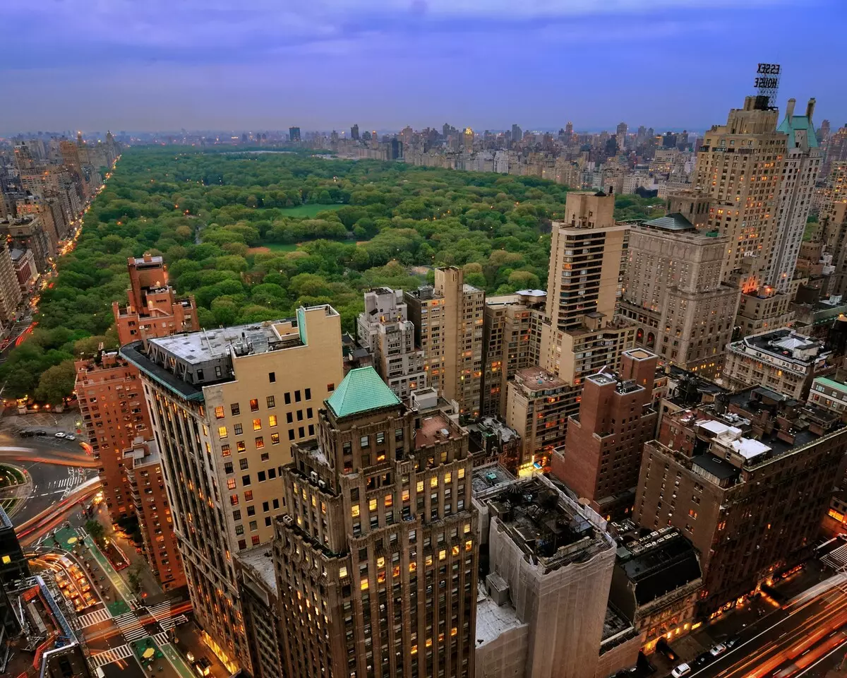 Uus-udu-Central-Park-USA-City-Tree-Skyscraper-Park-Evening-World-2048x2560