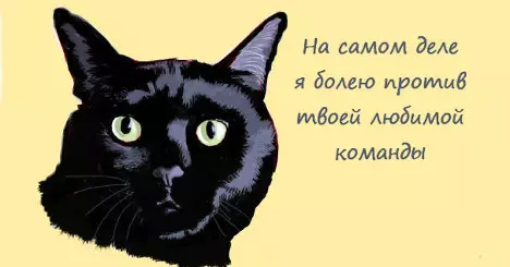 Що насправді думають ваші домашні улюбленці