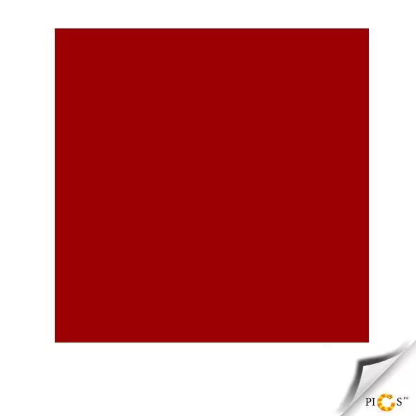 Zwemmen rood paard 40243_5