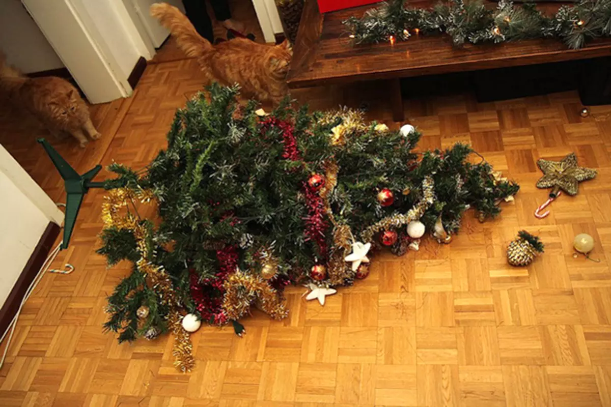 Божићни дрвеће и мачке: створени једни за друге.