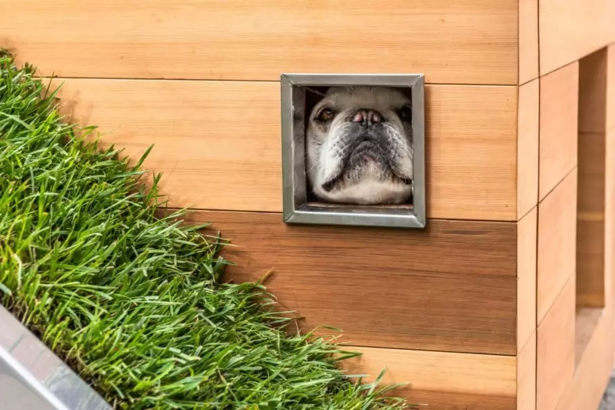 Las mascotas favoritas están dedicadas a: una casa de perros con un techo verde y un ventilador 40693_4